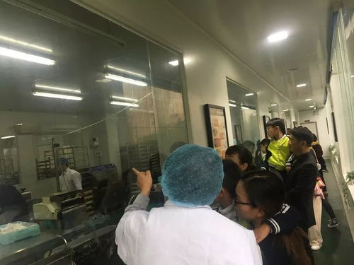 相约蛋糕工厂 品味甜蜜时光——记龙湾区第九幼儿园中二班参观蛋糕生产工厂社会实践活动
